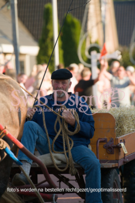 DSC06537