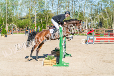 Zwaagwesteinde-april-2025-158thumbnail